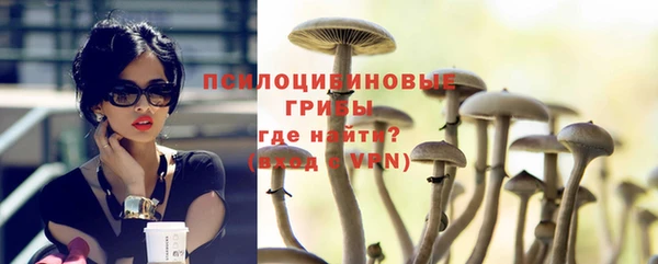 стафф Аша