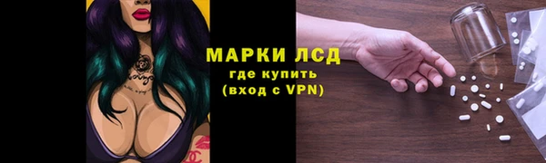 прущие грибы Семикаракорск