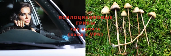 альфа пвп Магас