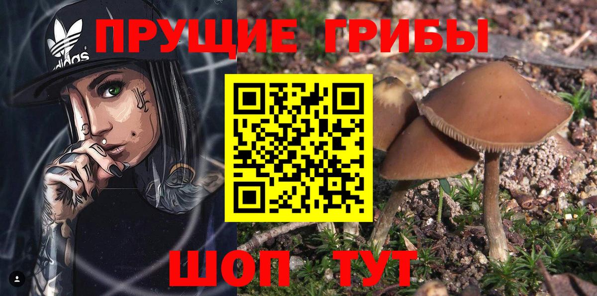Фролово  Псилоцибиновые грибы ЛСД  Вход с VPN 